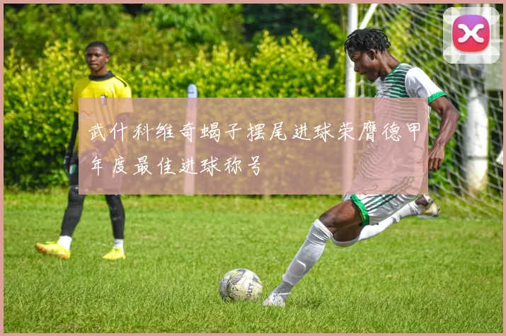 武什科维奇蝎子摆尾进球荣膺德甲年度最佳进球称号