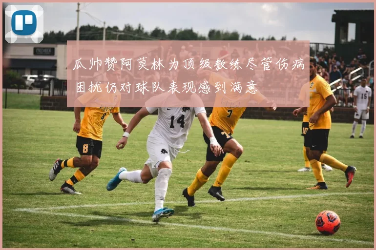 瓜帅赞阿莫林为顶级教练尽管伤病困扰仍对球队表现感到满意
